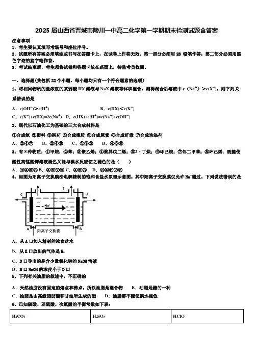 2025届山西省晋城市陵川一中高二化学第一学期期末检测试题含答案