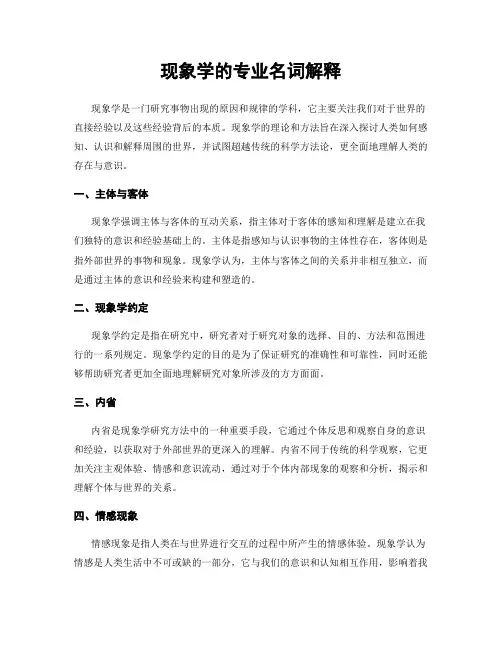 现象学的专业名词解释