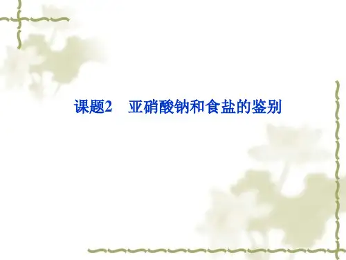 苏教版高中化学选修六：3.2《亚硝酸钠和食盐的鉴别》ppt课件