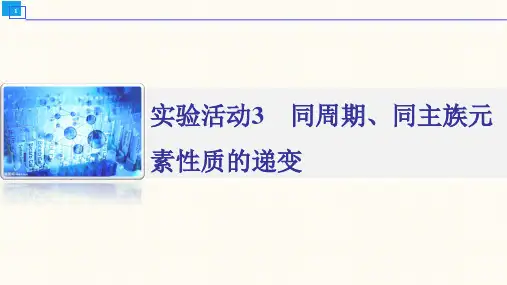 实验活动3 同周期、同主族元素性质的递变
