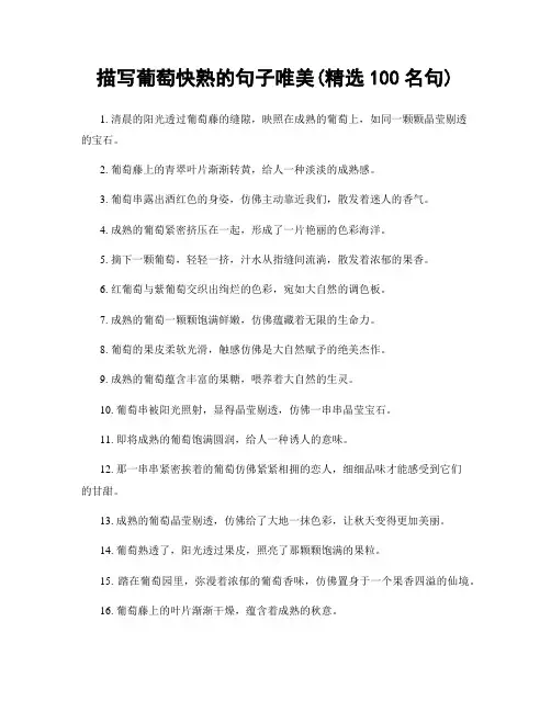 描写葡萄快熟的句子唯美(精选100句)