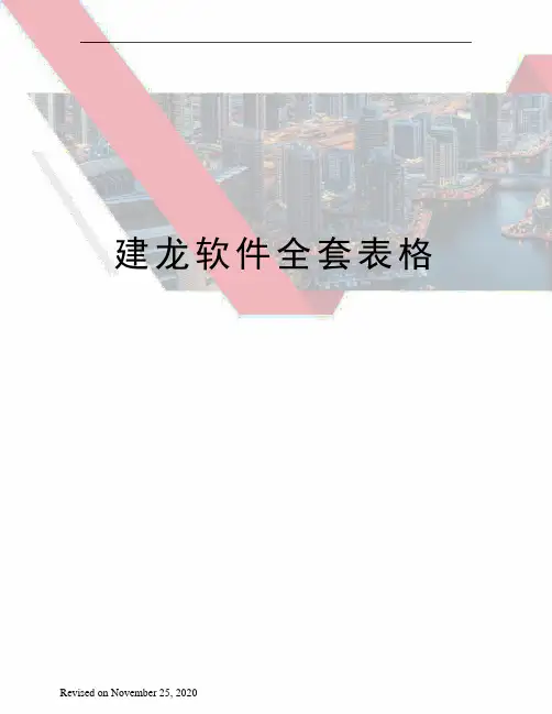 建龙软件全套表格