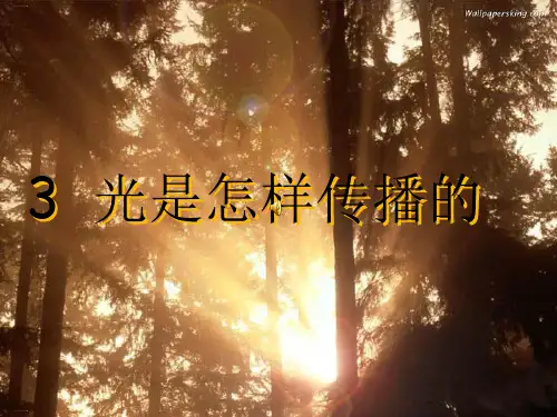 教科版《光是怎样传播的》精品教学课件13
