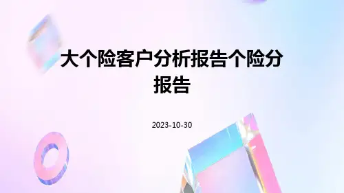 大个险客户分析报告个险分报告