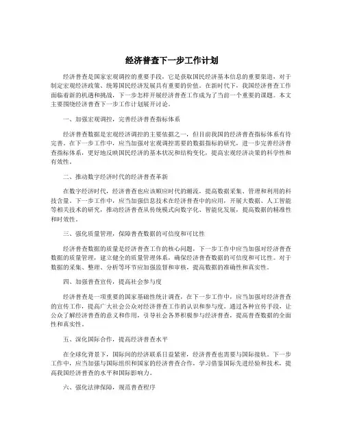 经济普查下一步工作计划