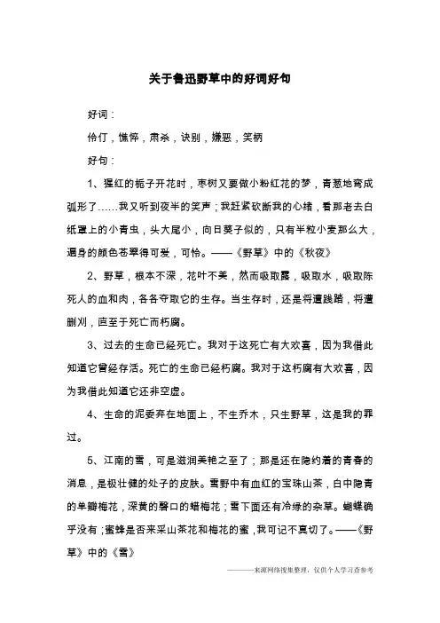 关于鲁迅野草中的好词好句