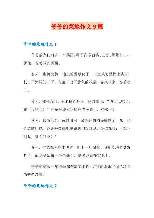 爷爷的菜地作文9篇