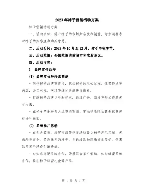 2023年柿子营销活动方案