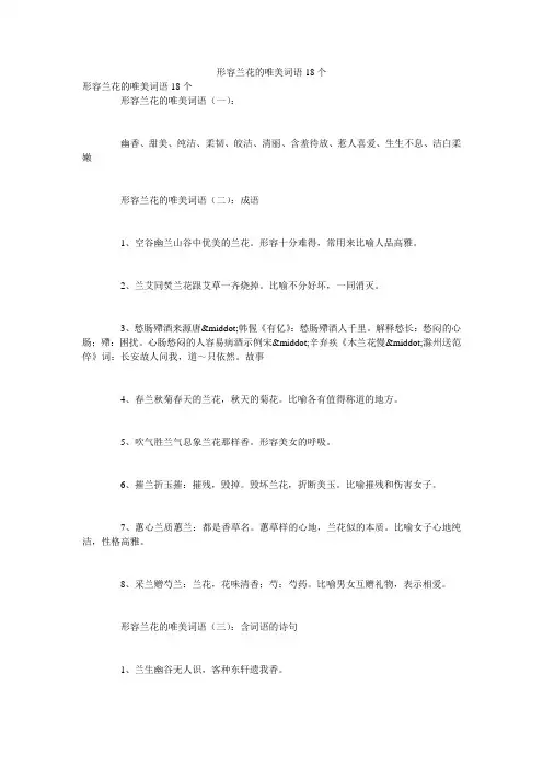 形容兰花的唯美词语18个