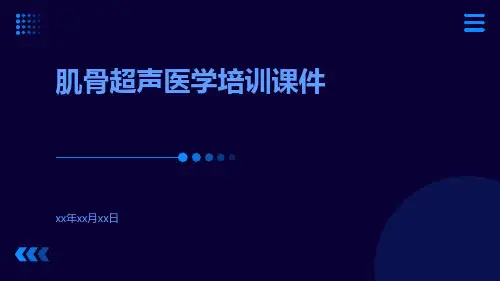 肌骨超声医学培训课件