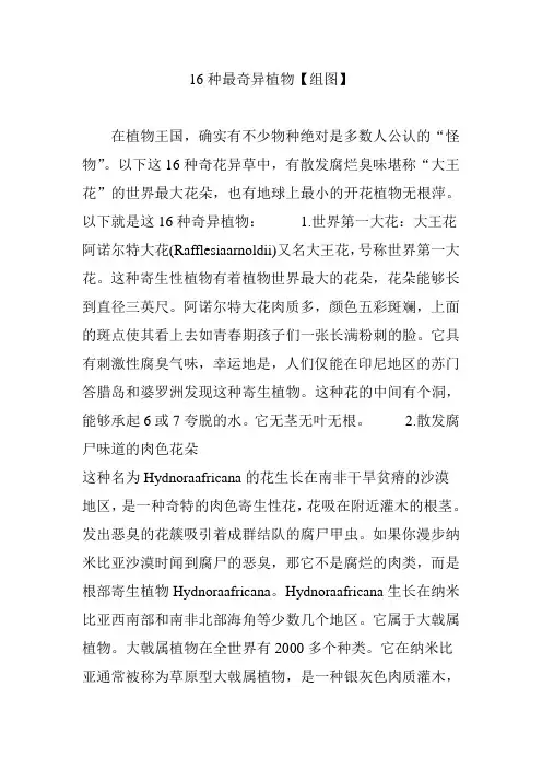 16种最奇异植物【组图】