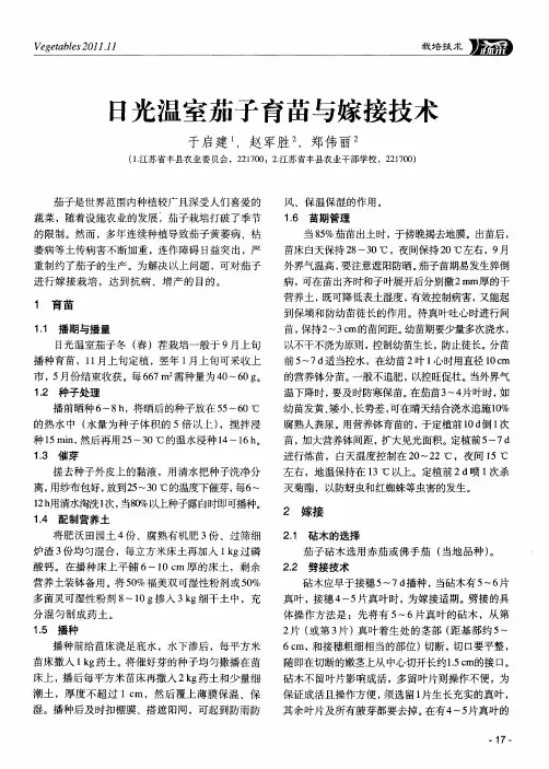 日光温室茄子育苗与嫁接技术