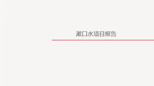 漱口水项目调研报告