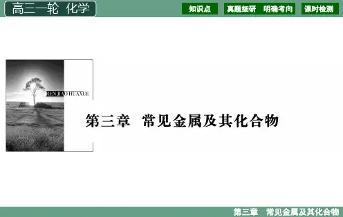 2021年高三化学一轮复习 第3章 10讲 铁及其化合物