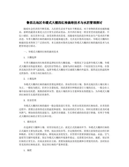 鲁西北地区冬暖式大棚西红柿栽培技术与水肥管理探讨