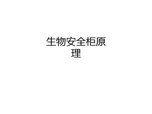 生物安全柜原理ppt课件