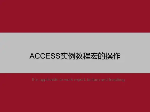 ACCESS实例教程宏的操作