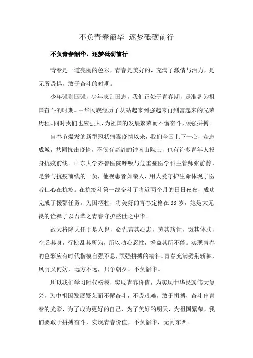 不负青春韶华 逐梦砥砺前行