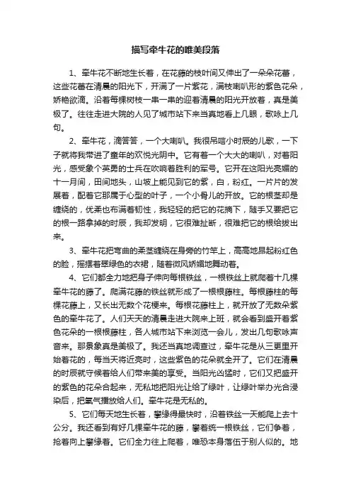 描写牵牛花的唯美段落