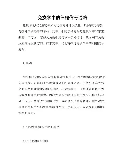 免疫学中的细胞信号通路