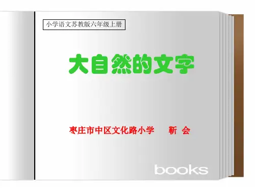 24 大自然的文字1