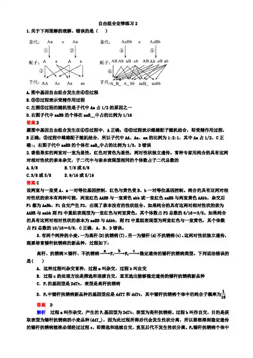 生物人教版新教材2020必修二自由组合定律练习2答案