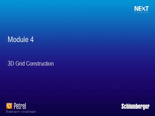 M4 2 Pillar Gridding网格化(Schlumberger petrel教学资料)