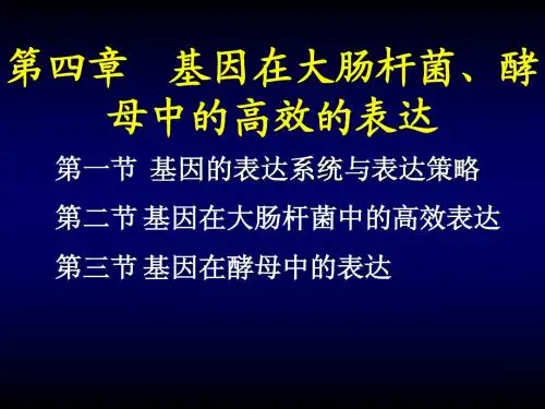 基因在大肠杆菌、酵母中的高效的表达