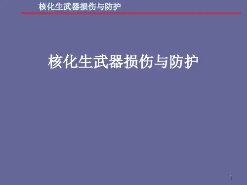核化生武器损伤与防护ppt