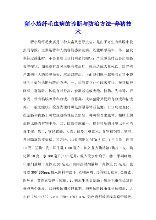 猪小袋纤毛虫病的诊断与防治方法 - 养猪技术