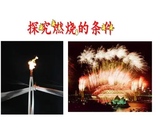 燃烧条件的探究