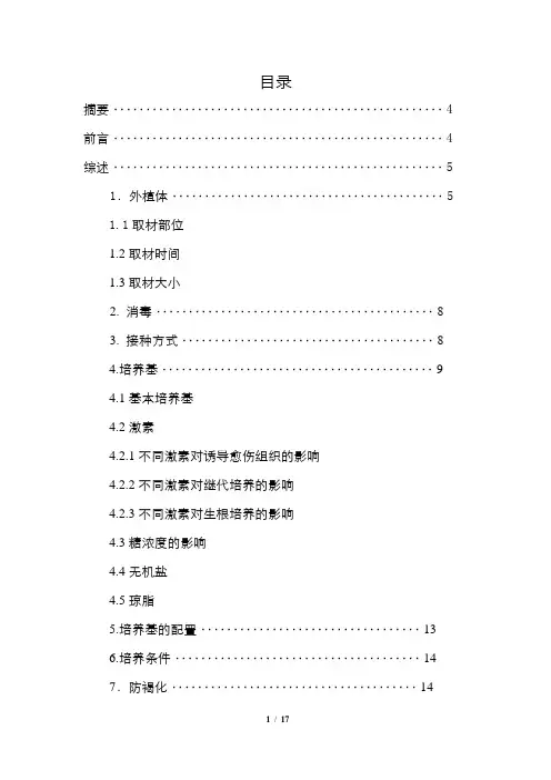月季组织培养