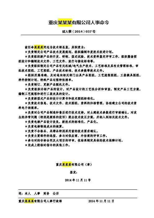 014037技术总监任命