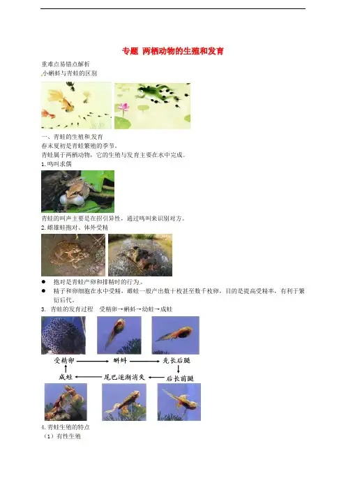 八年级生物下册 第七单元 第一章 第三节 两栖动物的生殖和发育讲义 (新版)新人教版