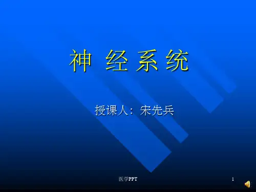 《神经病学》PPT课件