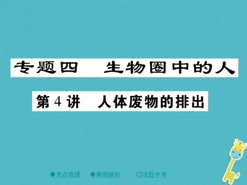 中考生物总复习专题突破四生物圈中的人第4讲课件