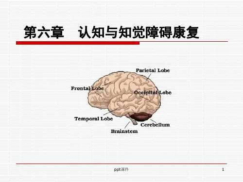 认知知觉障碍的康复评价与训练  ppt课件