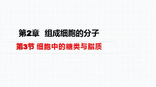 【课件】细胞中的糖类和脂质 课件 高一上学期生物人教版必修1