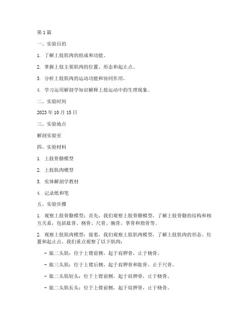 上肢肌肉的实验报告(3篇)