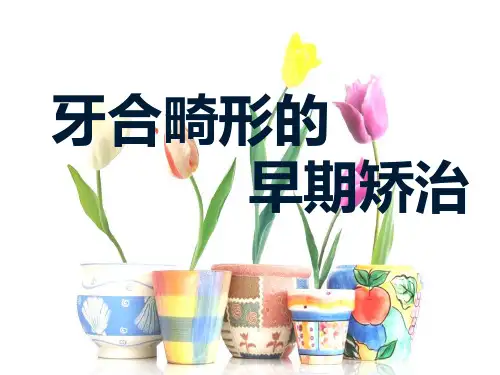 牙合畸形的早期矫治ppt课件