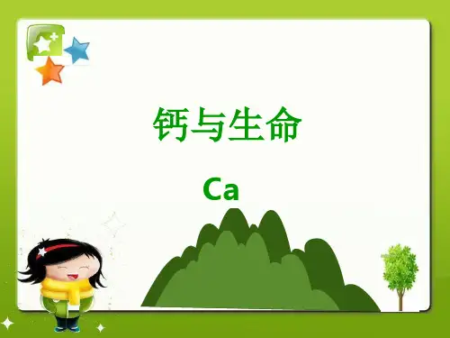 钙与生命完整版