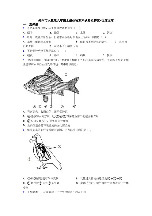 郑州市人教版八年级上册生物期末试卷及答案-百度文库