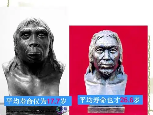 【初中历史】原始的农耕社会ppt1 冀教版