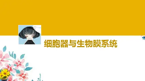 高考生物一轮复习8：细胞器与生物膜系统优质课件