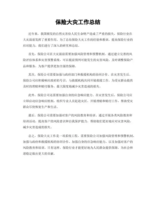 保险大灾工作总结