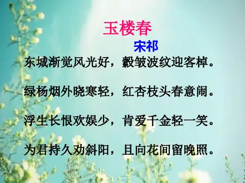 春语文七下第二单元《玉楼春》精品课件