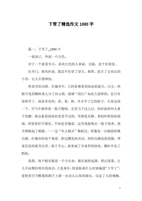 下雪了精选作文1000字