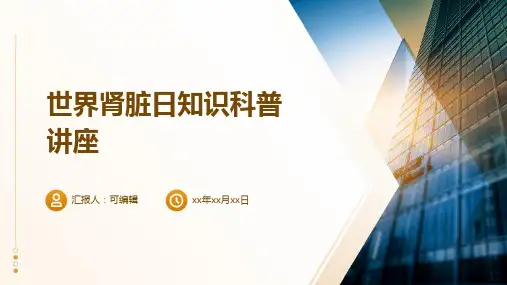 世界肾脏日知识科普讲座PPT模板