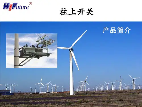 高压柱上开关讲解