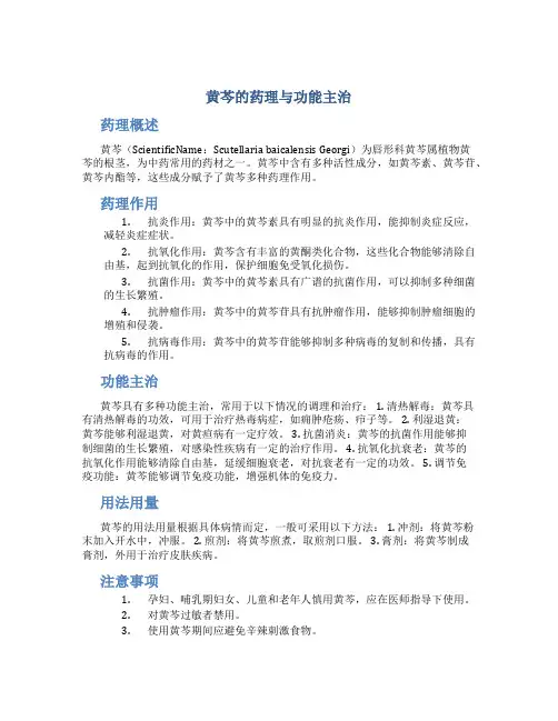 黄芩的药理与功能主治